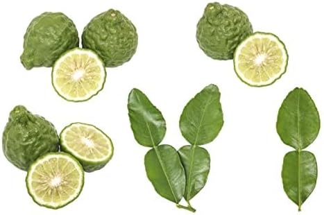 Young Living Bergamot Essential Oil 15ml | Aromatherapy Diffuser | Organic, Vegan & Gluten Free | Relaxing & Calming | Has a Cleansing & Purifying Properties | Wellness Support