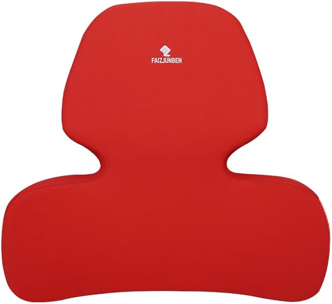 Lumbar Support Pillow, Memory Foam Cushion, Improve Posture and Relieve Low Back Pain, Lumbar Support for car Seats, Gaming Chairs, Office Chairs, wheelchairs