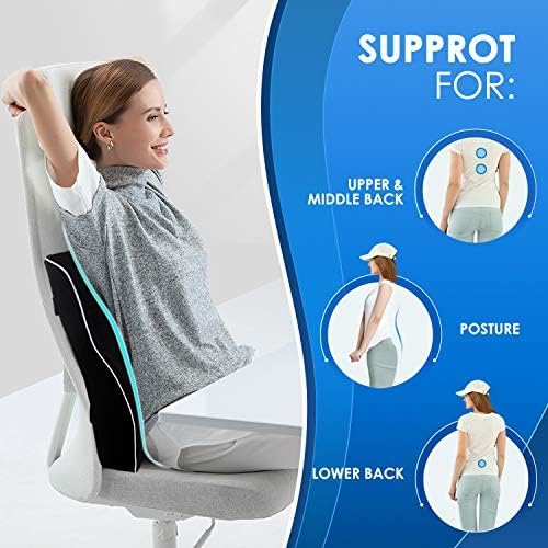 Gel Lumbar Support Pillow for Office Chair Car Gaming Chair Lower Back Pain Relief Back Support, Cooling Memory Foam Cushion for not Stand The Heat, 3D Mesh Cover Ergonomic Orthopedic Back Rest