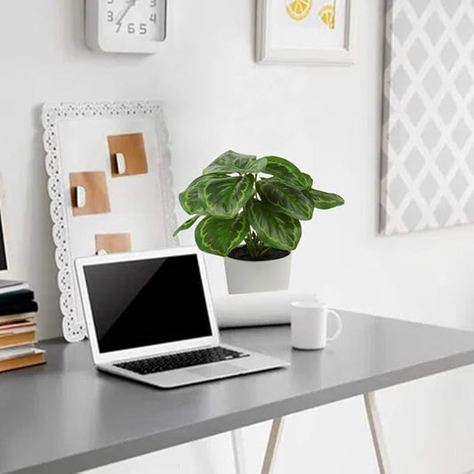 Briful 2 PCS Artificial Potted Alocasia Begonia Calathea Plants Mini Fake Plants in Plastic Pot Small Greenery Faux Plants Indoor for Home Office Desk Room Table Bathroom Bedroom Decorations