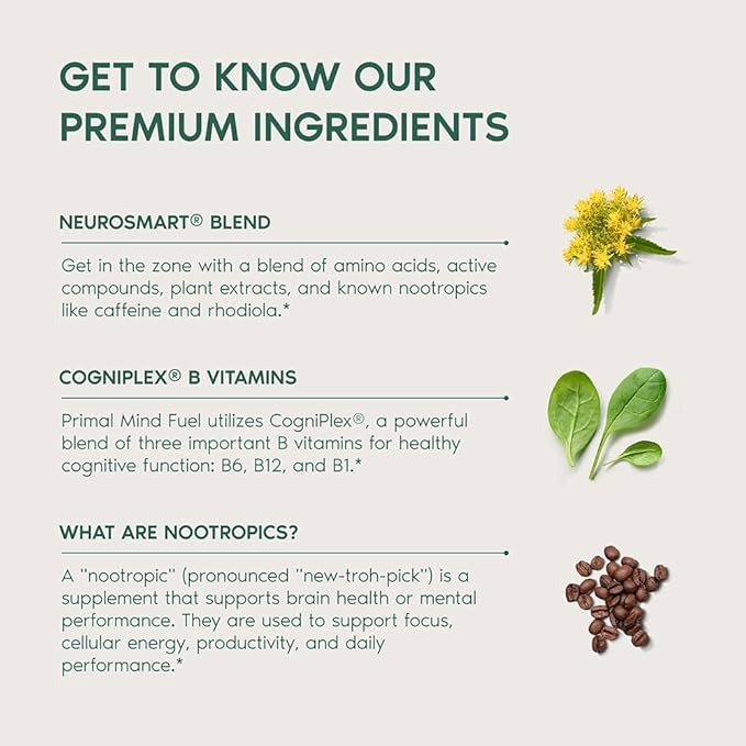 Brain Supplement by Primal Harvest, Primal Mind Fuel Brain Booster for Focus, Energy, Clarity, and Brain Health 30 Capsules Nootropics Brain Support Supplement for Men and Women