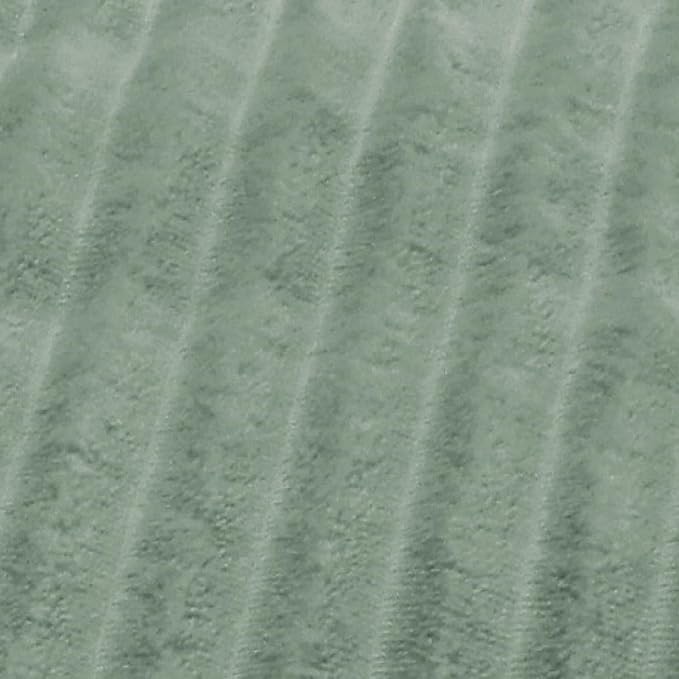 Bedsure GentleSoft Electric Blanket Twin - Soft Ribbed Flannel Heated Blanket, Heating with 10 Time Settings, 6 Heat Settings, and 8 hrs Timer Auto Shut Off, Gifts for Grandma (62x84 inches, Green)