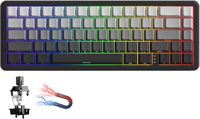 EWEADN Battle68 60% Gaming Keyboard Wired, Hall Effect Magnetic Switch Keyboards, Mechanical Keyboard Adjustable Actuation, 8K Polling Rate, Side Printed PBT Keycap, RGB Backlit, Panda Magnetic Switch