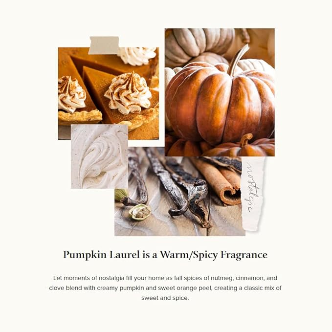 Thymes Pumpkin Laurel Reed Diffuser Oil Refill – Home Fragrance Oil for Diffuser – Fall Reed Diffuser Refill – Fall Oil Scents for Diffuser – Aromatherapy Diffuser Oils Scents (7.75 fl oz)