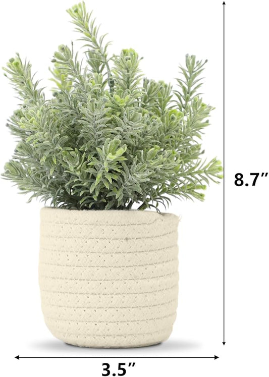 Hopewood Small Artificial Plants Eucalyptus with a Weave Basket Potted Plants for Home Office Desk Farmhouse Indoor Decor