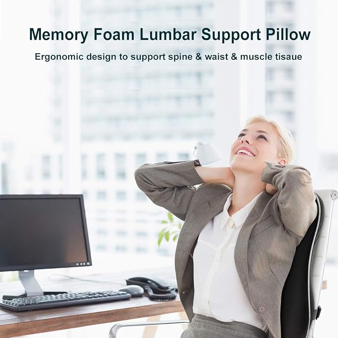 Newgam Lumbar Support Pillow/Back Cushion,Memory Foam Orthopedic Backrest with Breathable 3D Mesh for Car Seat,Office/Computer Chair,Wheelchair and Recliner,Ergonomic Design for Back Pain