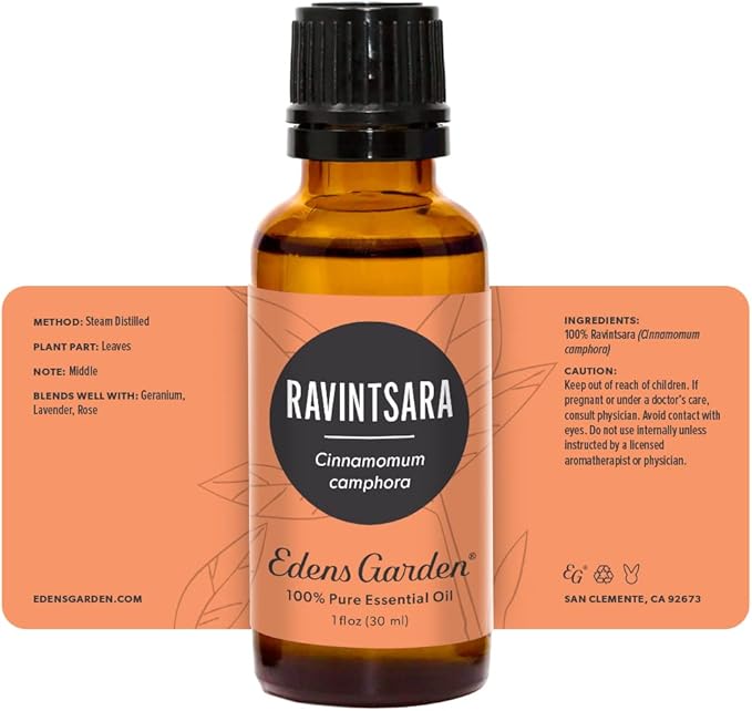 Edens Garden Ravintsara Essential Oil- 100% Pure Premium Grade, Undiluted, Natural, Therapeutic, Aromatherapy, The Best for Diffuser, Candle, Laundry, Humidifiers 30 ml (1 fl oz)