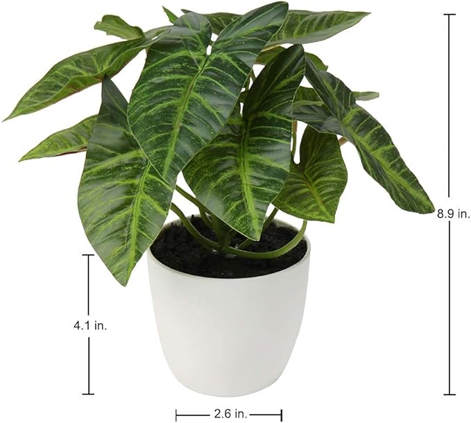 Briful 2 PCS Artificial Potted Alocasia Begonia Calathea Plants Mini Fake Plants in Plastic Pot Small Greenery Faux Plants Indoor for Home Office Desk Room Table Bathroom Bedroom Decorations
