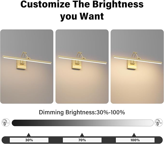 Tipace Hard-Wired LED Picture Light Fixtures,3CCT Dimmable Metal Artwork Display Lamp with Remote Control,Gold Modern Gallery Lights Wall Lights for Picture Display