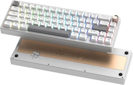 Womier SK65 Wireless Mechanical Gaming Keyboard with Knob, 60 Percent Aluminium Keyboard for PC, Bluetooth 5.0/2.4GHz/USB-C Wired, Hot Swappable Custom Lineaner Switch, RGB Backlit (Silver V2)