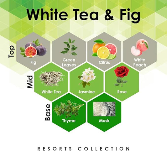 White Tea & Fig 4 oz Refill for Oil Diffuser with Fig, White Tea, Thyme & More Notes