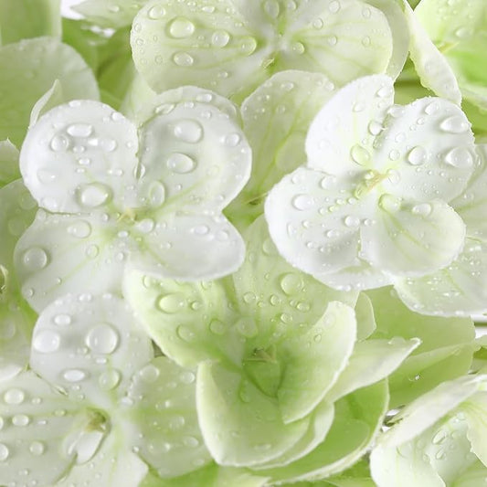 Light Green Hydrangea Artificial Flowers 3pcs Lifelike Faux Hydrangea Real Touch Fake Flowers for Home Wedding Office Party Living Room Decoration,22inch