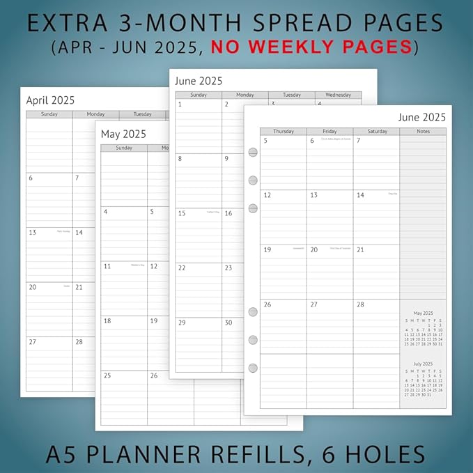 newestor 2025-2026 A5 Planner Inserts, Filofax A5 Compatible, Jul 2025 - Jun 2026, Weekly and Monthly Appointment Book Pages, Tabbed, 6 Holes