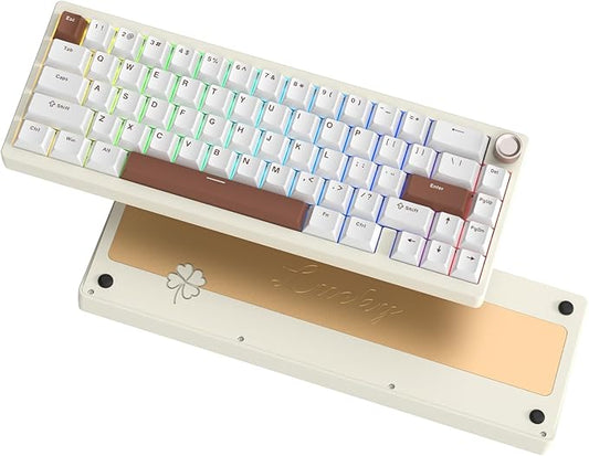 Womier SK65 Wireless Mechanical Gaming Keyboard with Knob, 60 Percent Creamy Aluminium Keyboard for PC, Bluetooth 5.0/2.4GHz/USB-C Wired, Hot Swappable Custom Lineaner Switch, RGB Backlit, Beige