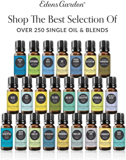 Edens Garden Essential Oils Best of The Best Roll-On 3 Set – 100% Pure Therapeutic Grade, Ready-to-Use Aromatherapy: Fighting Five, Good Night & Lavender Oil - for Skin & Home, 10 ml Roll-On/ 3 Pack