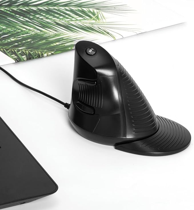DeLUX Wired Vertical Ergonomic Mouse, with 6 Programmable Buttons, 4200DPI, Removable Palm Rest, Reduces Wrist Pain and Carpal Tunnel for Medium Hands (M618XU-Black)