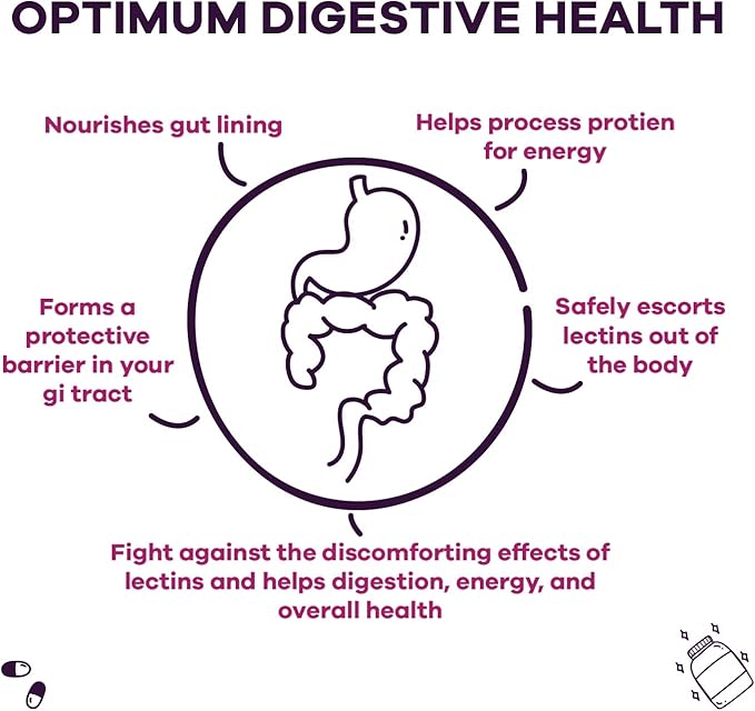 GOBIOTIX Lectin Defense - Lectin Blocker Supplement for Leaky Gut with MSM and Digestive Enzymes - Aids in Intestinal Health for Women and Men - Non-GMO + Gluten Free - 60 Capsules (2)