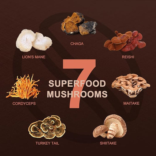 ORGFUN Premium Mushroom Coffee with 7 Superfood Mushrooms, Great Tasting Arabica Instant Coffee, Includes Chaga, Lion's Mane, Reishi, Cordyceps, Maitake, and Turkey Tail, Shiitake 3.53 Oz