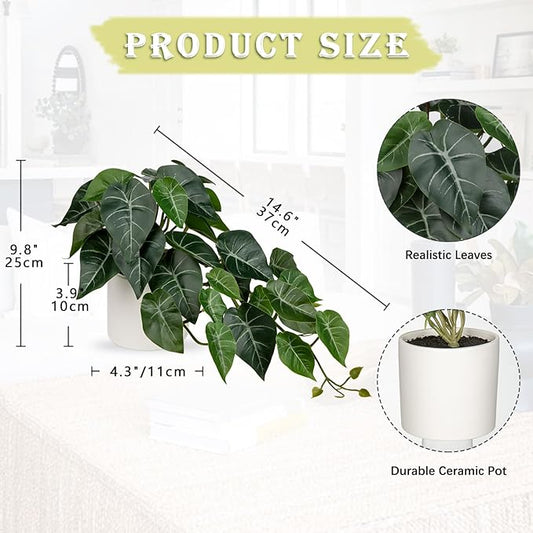 Hollyone Artificial Plants Potted Alocasia Amazonica Polly Faux Plant with White Ceramic Pot Fake Hanging Plants Indoor for Home Living Room Shelf Office Aesthetic Decor