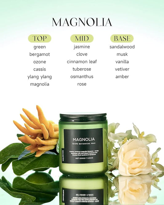 M&SENSE Magnolia Jasmine Scented Candle, 7.05oz 50 Hours Long Lasting Clean Non Toxic All Natural Soy Wax Candle for Relaxing & Stress Relief, 2 Wick Spring Fragrance Gifts for Home Decor