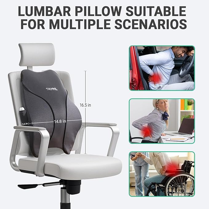 GOLDORANGE Adjustable Lumbar Support Pillow for Car with Air Pump, Ergonomic Memory Foam Back Cushion with Straps for Back Pain Relief and Posture Improved Lumbar Cushion for Vehicles Office Chair