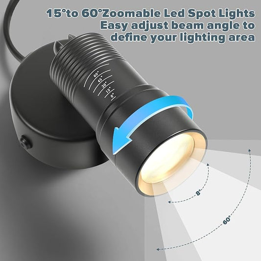 Junview 2Pack Spot Lights Indoor 8° to 60° Zoomable Focus Head Uplighting Indoor with Timer and Remote Stepless Adjustable Color Temperature and Dimmable Accent Up Lights for Plant Artwork Pictures