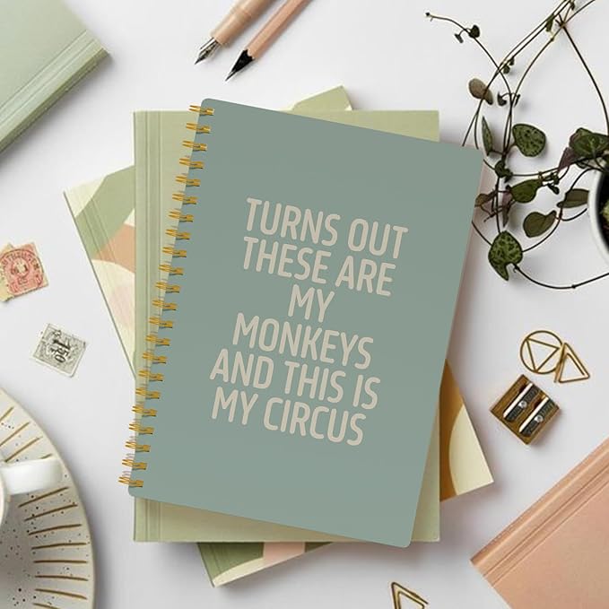 Funny Notebooks for Work,Sage Green Aesthetic Journal, Funny Boss Day Gifts, Boss Gifts for Men Women, Funny Gifts for Boss, Boss Office Decor, Spiral Notebook 5.5x8.3 Inch