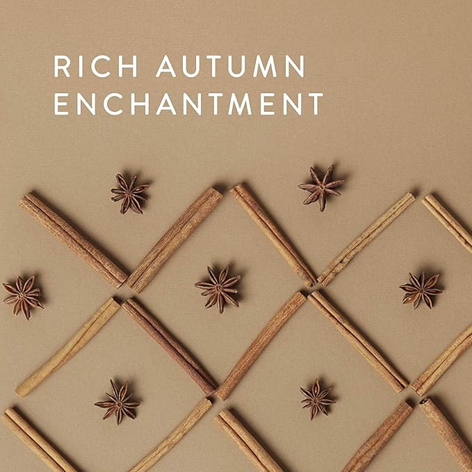 Thymes Simmered Cider Reed Diffuser Oil Refill – Home Fragrance Oil for Diffuser – Holiday Reed Diffuser Refill - Simmered Cider – Aromatherapy Diffuser Oils Scents (7.75 fl oz)