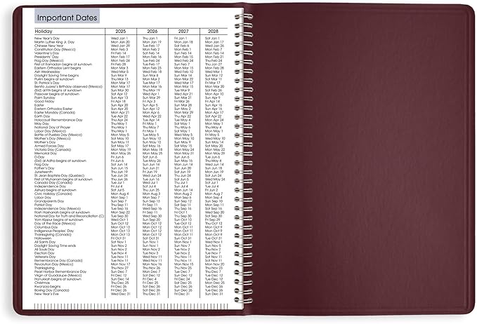 AT-A-GLANCE 2025 Appointment Book Planner, Weekly, 8" x 11", Large, Quarter-Hourly, DayMinder, Burgundy (G5201425)