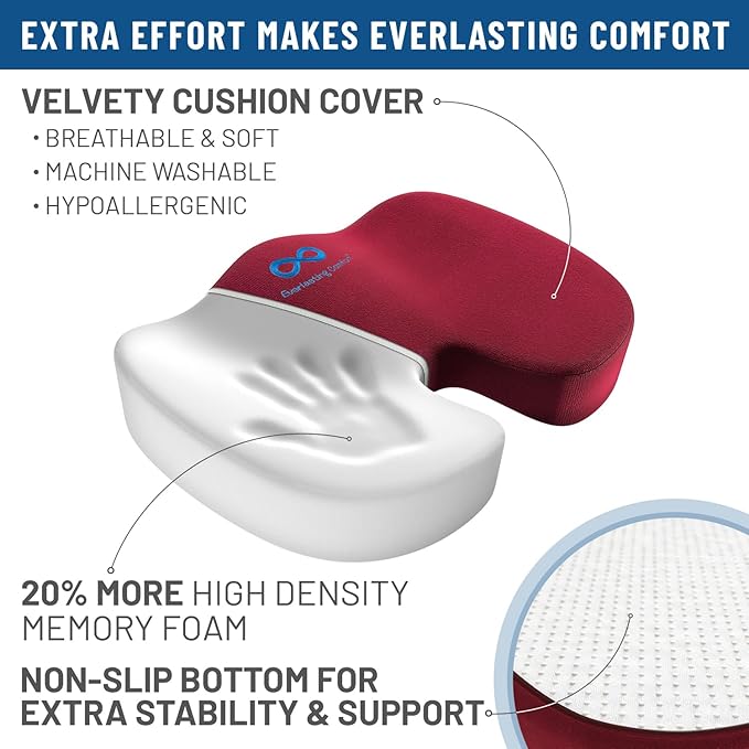 Everlasting Comfort Doctor Recommended Memory Foam Seat Cushion for Office Chairs & Car Seat - Ergonomic Office Desk Accessories for Tailbone Pain Relief, Sciatica & Back Support
