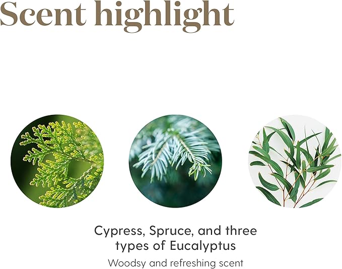 Young Living - R.C. Premium Essential Oil 15 ml | Aromatherapy for Diffuser | Suitable for Massage & Yoga Practice with a Menthol & Refreshing Scent | 100% Pure & Natural