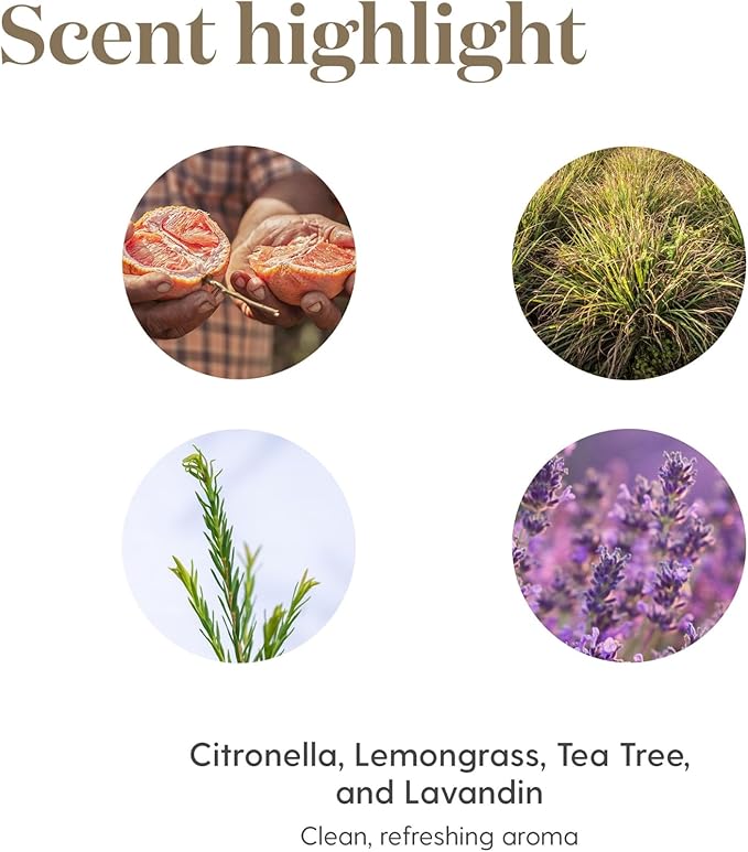 Young Living Purification Essential Oil Blend, 15ml - Aromatherapy Diffuser - Ideal for Cleansing Skin - Skincare and Beauty Addition - Pure & Natural