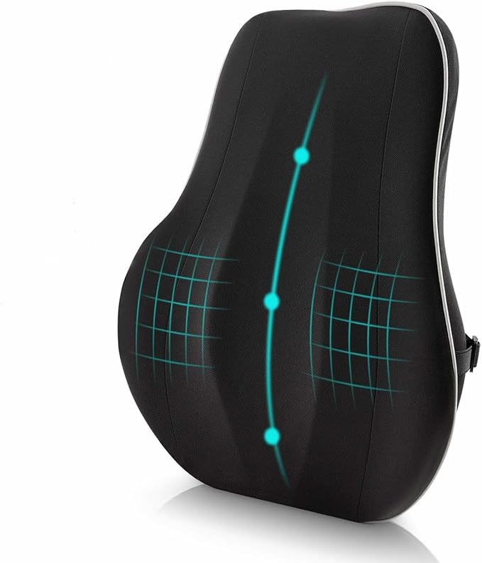 Newgam Lumbar Support Pillow/Back Cushion,Memory Foam Orthopedic Backrest with Breathable 3D Mesh for Car Seat,Office/Computer Chair,Wheelchair and Recliner,Ergonomic Design for Back Pain