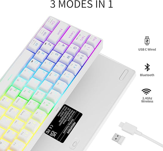 Newmen GM610 60% Wireless Mechanical Gaming Keyboard,Wired/Bluetooth/2.4G Keyboard,RGB Backlit,61 Anti-Ghosting Keys,Programmable,Hot-Swappable,for Windows Mac Android (White/Red Switch)