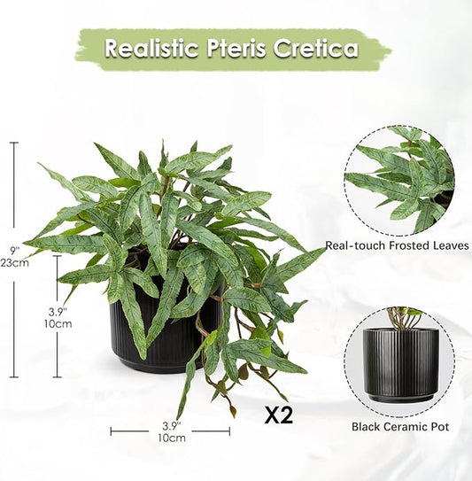 Briful Faux Plants Indoor 9'' Artificial Potted House Plant with Black Ceramic Pot Fake Pteris Cretica Fern Plant for Home Office Room Desk Shelf Decor Indoor