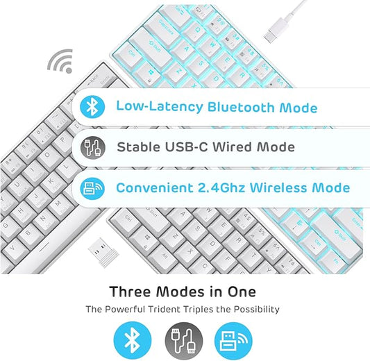 RK ROYAL KLUDGE RK61 Wireless 60% Mechanical Gaming Keyboard, Ultra-Compact 60 Keys Bluetooth Mechanical Keyboard with Programmable Software (Blue Switch, White)