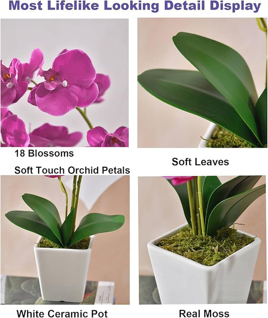 Faux Orchid in Vase Artificial Orchid in Ceramic Vase Tall Silk Orchids with Stems Real Look Potted Phalaenopsis Flowers Arrangement Centerpiece Table Decorations for Home Decor Indoor, Fuchsia