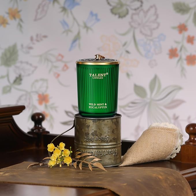 Jar Candles for Home Scented, Aromatherapy Candles Gifts for Women & Men, Natural Soy Candle, 8.4oz Traditional Style, Wild Mint & Eucalyptus