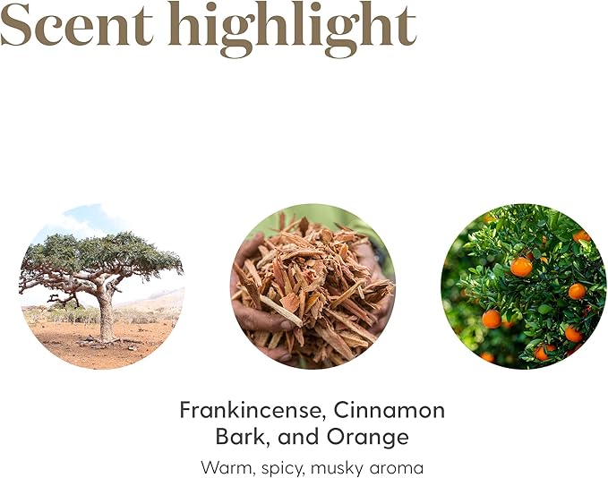 Young Living Abundance Essential Oil Blend | 15 ml | Warm, Uplifting Aromatherapy for Diffusing & Topical Use | Spicy, Invigorating Scent with Premium Botanical Oils