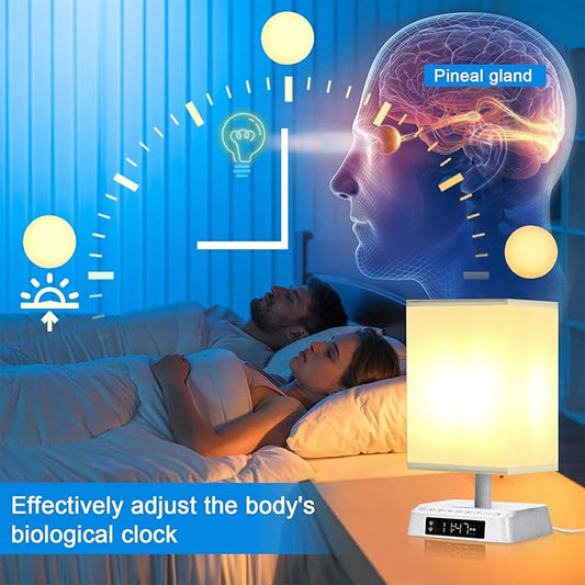 Bedside Table Wake up Light Alarm Lamp APP Control Sound and Light Awakening Sunrise Alarm Clock lamp Bioclock Adjustment LED lamp Built-in White Noise nightstand Lamp 3 Color Adjustable