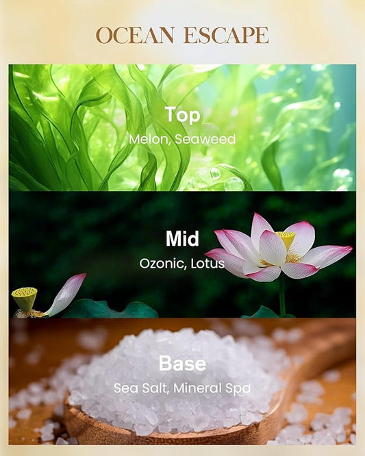 M&SENSE Ocean Escape Scented Natural Soy Wax Candle, 14.1oz 60 Hours Long Lasting Slow Burning Candles for Home Decor, Aromatherapy Candle for Stress Relief