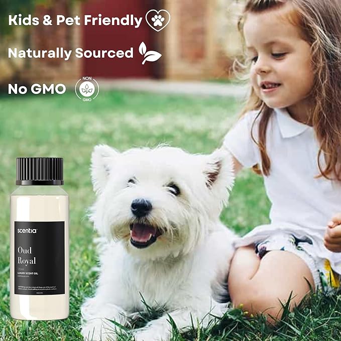 Oud Royal Hotel Diffuser Oil 120 ml | Oud Royal for Scent Diffuser | Luxurious Aroma, Niche Scent, Cardamom, Rosewood & Oud | 120ml Aromatherapy Fragrance