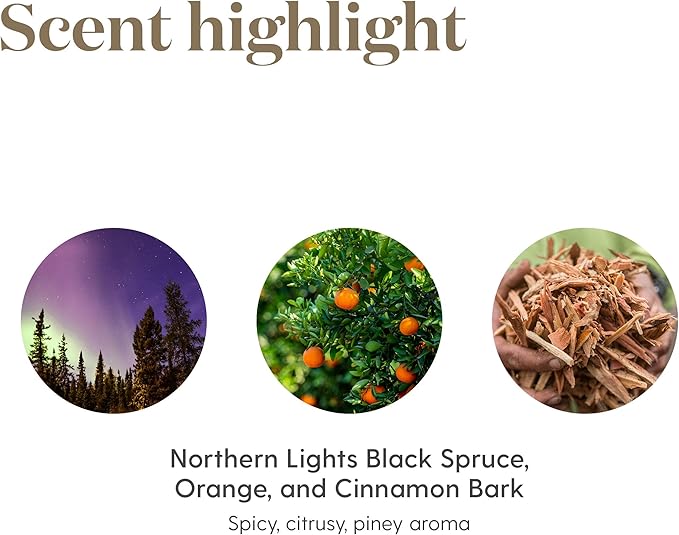 Young Living - Christmas Spirit 15 ml | Festive Essential Oil Blend for Diffusers | Aromatherapy for Holiday Cheer, Winter Memories, & Natural Air Freshening