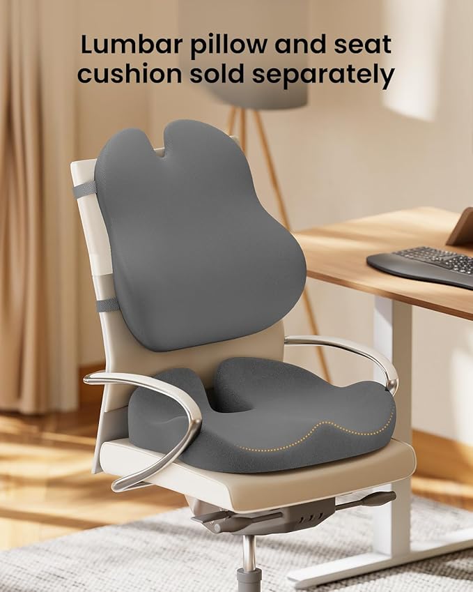 ProtoArc Lumbar Support Pillow for Office Chair, Memory Foam Back Support Pillow for Lower Back Fatigue Relief, Lumbar Cushion Desk Chair Back Cushion, Ergonomic Back Rest for Chair, Car - Gray