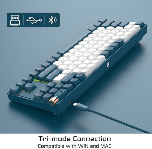 R87 Wireless Mechanical Keyboard, Hot Swappable Wired/2.4G Wireless/Bluetooth Keyboard with RGB Light for Windows & Mac, PBT Keycaps, G Pro Yellow Switch, Whale Blue
