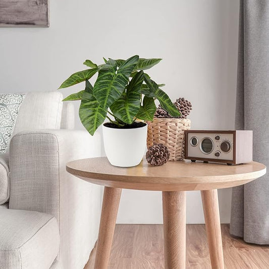 Briful 2 PCS Artificial Potted Alocasia Begonia Calathea Plants Mini Fake Plants in Plastic Pot Small Greenery Faux Plants Indoor for Home Office Desk Room Table Bathroom Bedroom Decorations