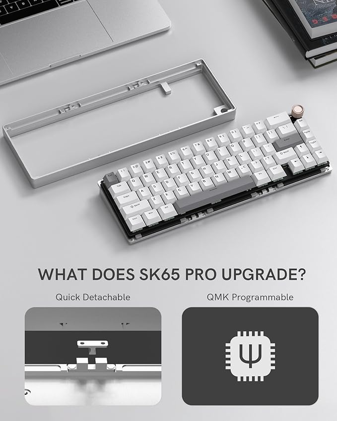 Womier SK65 Wireless Mechanical Gaming Keyboard with Knob, 60 Percent Aluminium Keyboard for PC, Bluetooth 5.0/2.4GHz/USB-C Wired, Hot Swappable Custom Lineaner Switch, RGB Backlit (Silver V2)
