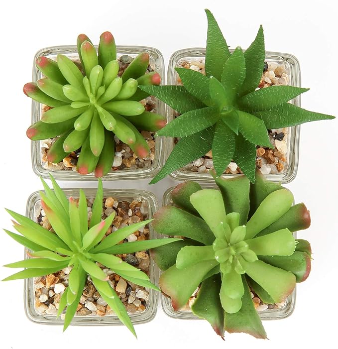 Briful Set of 4 Succulents Plants Artificial in Clear Glass Pots Small Fake Succulents Plants Mini Faux Plants Indoor for Window Sill Office Table Desk Shelf Bathroom Decor