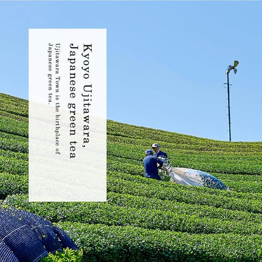 TOMOSAN Japanese Organic Matcha - Authentically Japanese Uji Kyoto Origin, Traditional Stone Milled Green Tea Powder, 100g/3.5oz