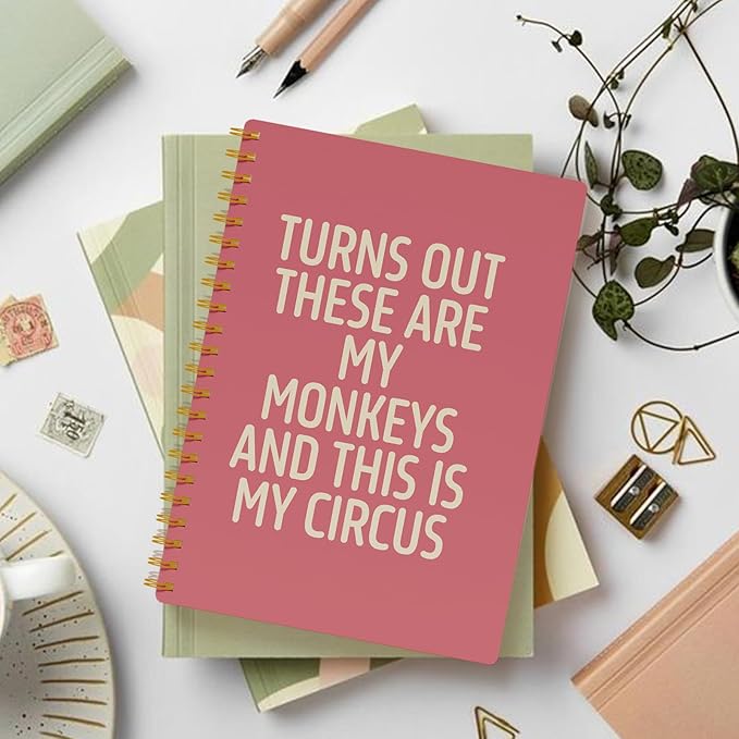 Funny Notebooks for Work, Pink Aesthetic Journal, Funny Boss Day Gifts, Boss Gifts for Men Women, Funny Gifts for Boss, Boss Office Decor, Spiral Notebook 5.5x8.3 Inch